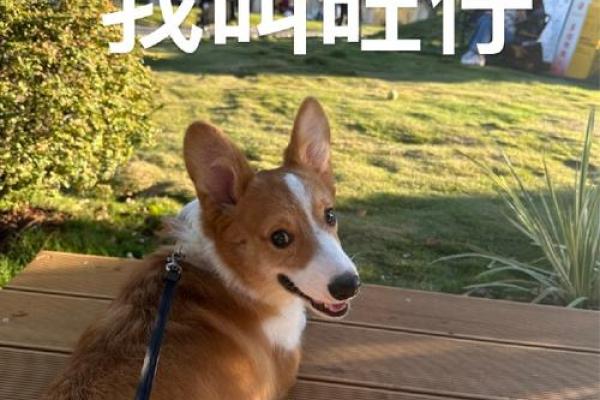 刘海涛的命运之旅：一个名字背后的故事与启示