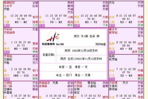 1982年出生的人命运解析：命中的星辰与人生轨迹