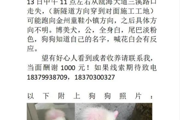 刘海涛的命运之旅：一个名字背后的故事与启示
