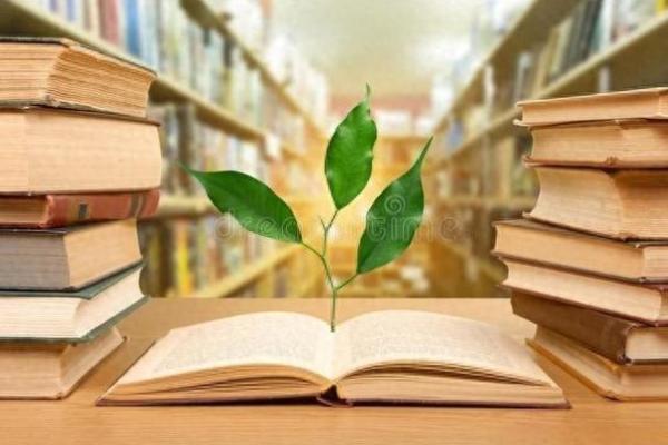 探究命理精髓：解锁生命奥秘的钥匙