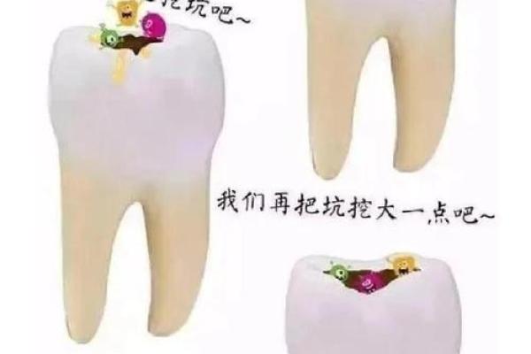 命与身体的关系：探寻生命的本源与性别的奥秘