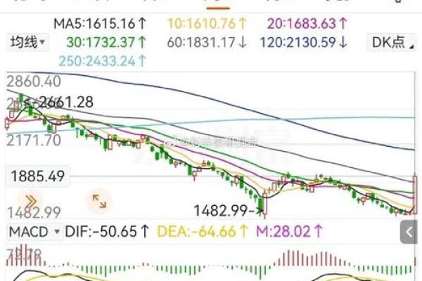 金牛创业命：稳扎稳打，打造理想人生的成功之道