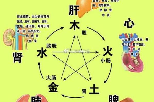 揭秘阴阳命：算命术中的深奥真理与人生解读