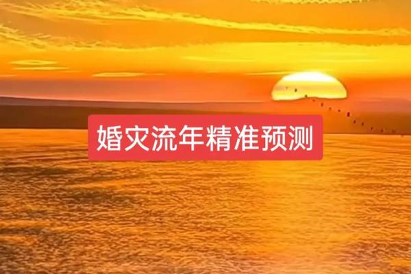 命运之钥：探索人生选择与机会的奥秘