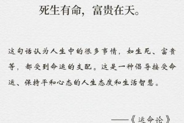 鸭与鸡的命格：从动物特性看人生哲学与命运轨迹