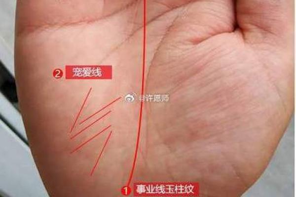 女生眼睛凶的命运解析：眼神中的秘密与未来