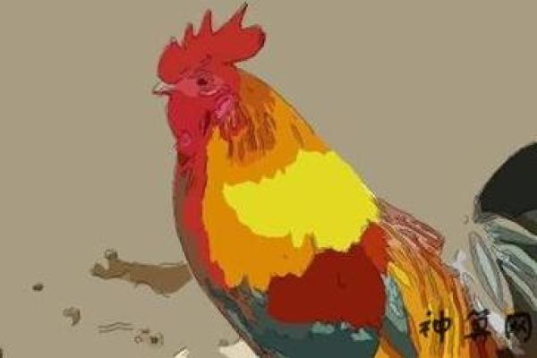 鸭与鸡的命格：从动物特性看人生哲学与命运轨迹