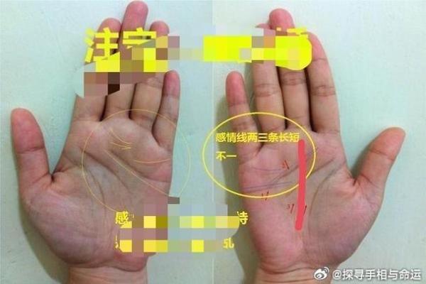 揭秘男人手纹:好运与命运的神秘联系! 揭秘男人手纹:好运与命运的神秘联系!