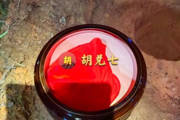 2024年男宝宝命运分析:命理与性格的完美结合 2024年男宝宝命运分析:命理与性格的完美结合