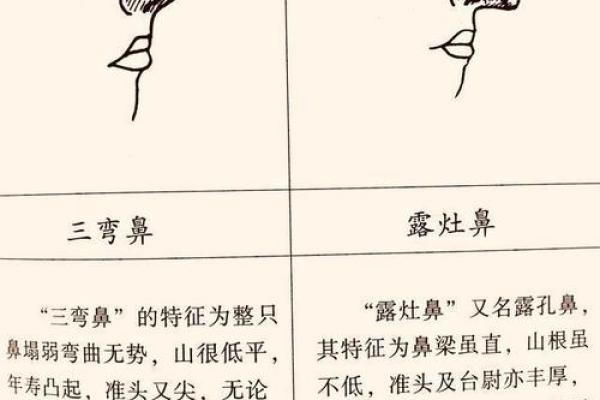 鼻头小的人命运解析:从面相看人生 鼻头小的人命运解析:从面相看人生