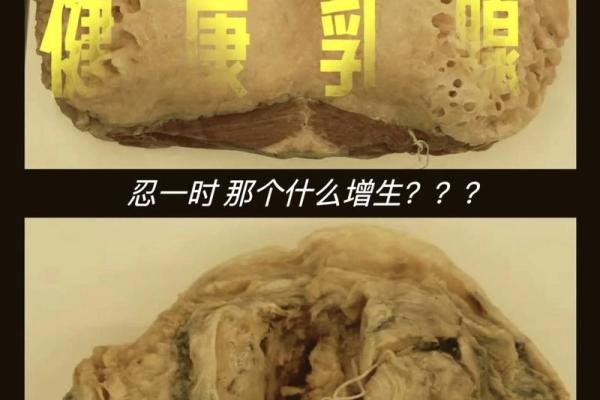 1982年生人是什么命？探秘生命的奥秘与个性特征