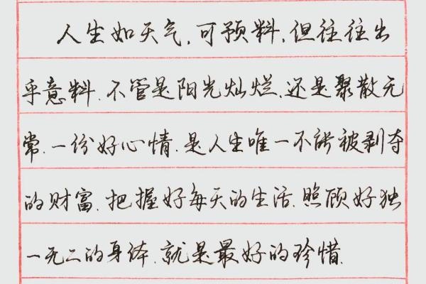 46岁属猪的命运解析：如何把握人生中的机遇与挑战