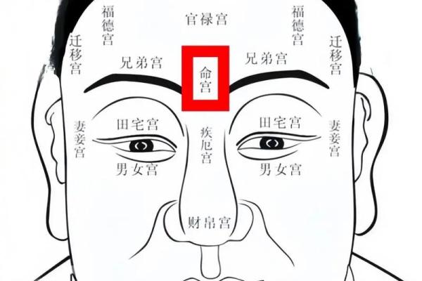 无眉女人的命理解析:揭开神秘面纱,探索内心潜力与未来运势 无眉女人的命理解析:揭开神秘面纱,探索内心潜力与未来运势