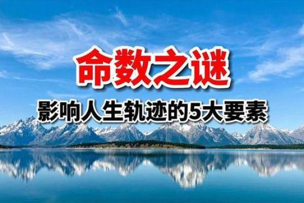 探索蛇年卯时出生女性的命运之谜与人生智慧 探索蛇年卯时出生女性的命运之谜与人生智慧