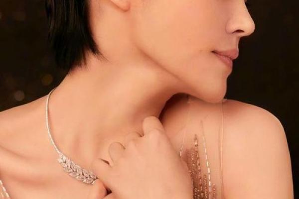 许晴：如公主般优雅的魅力与智慧