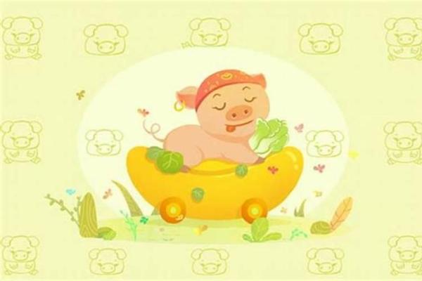 属猪水命人的颜色选择与吉祥运势分析