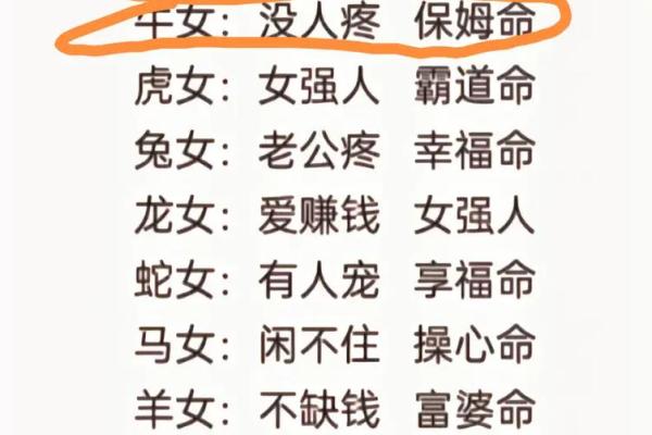 1973年出生的48岁命运解读：命运与人生的交织与启示