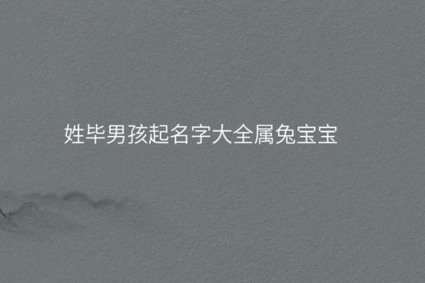 兔年男宝宝：命理分析与性格特征探讨