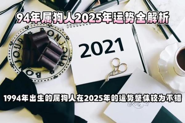 1983年属狗人的命运解析与财富运势探讨