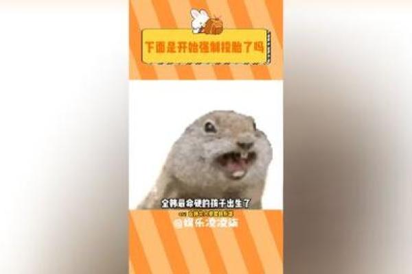 解析生命之星：哪些日子出生的孩子命硬？