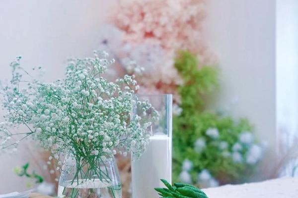 眉毛少上扬的命运：寻找内心的方向与力量