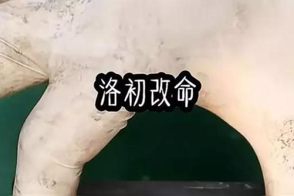 算命改命：风险与误区，您考虑过吗？