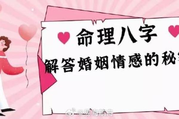 九五年属猪的命理解析：情感、事业与生活的全面解读