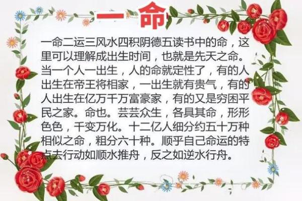 离宅适合什么命居住:解密居住风水与命理的完美结合 离宅适合什么命居住:解密居住风水与命理的完美结合