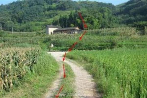 揭示颜命成语的奥秘：面相与命运的关系探讨