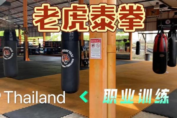 大林木命的职场优势与最佳职业选择探秘