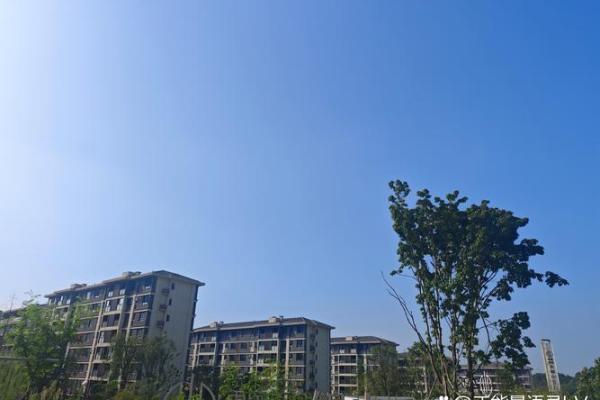 1974年出生女性命运解析：与众不同的人生轨迹与机遇