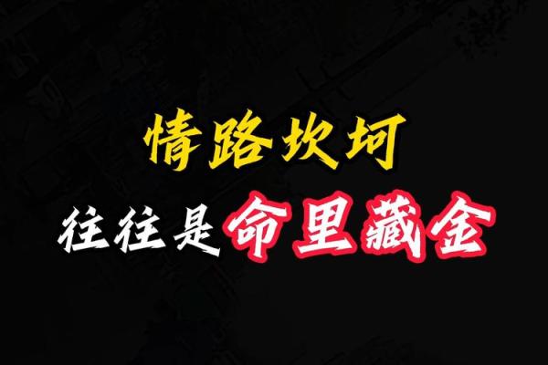 为何作家的命运往往短暂：文字背后的故事与挣扎