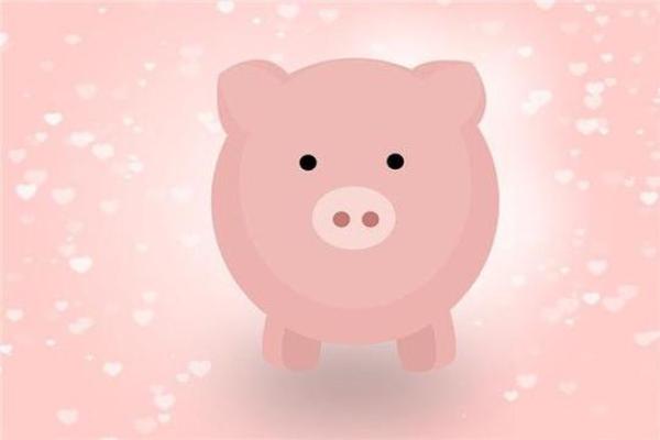 猪年出生孩子的命运解析：如何培育聪明幸福的猪宝宝？