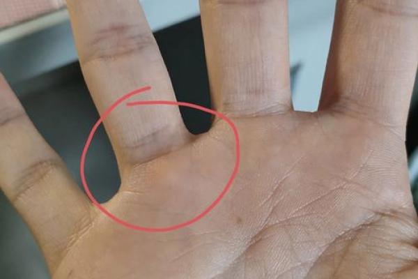 探索手指中间关节的奧秘，揭示你的命运与性格特征！