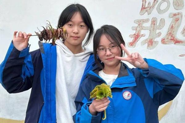 探寻木命女孩的色彩密码,助你绽放自然之美! 探寻木命女孩的色彩密码,助你绽放自然之美!