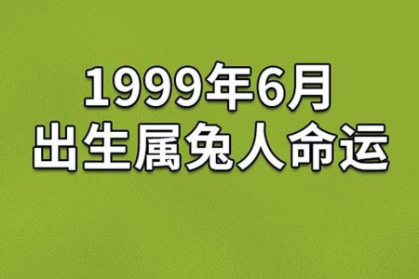 2021年属兔的命运解析：吉祥与挑战并存的精彩人生