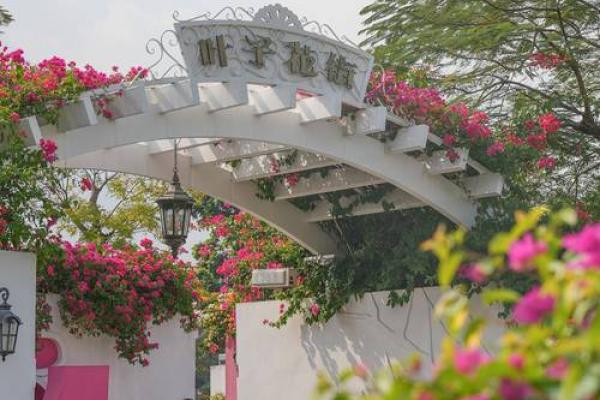 探寻木命女孩的色彩密码,助你绽放自然之美! 探寻木命女孩的色彩密码,助你绽放自然之美!