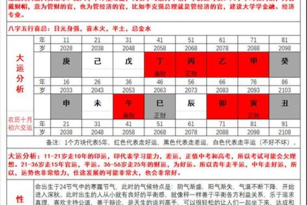 命理解析：己未癸酉丙申乙未的命运之旅与人生启示