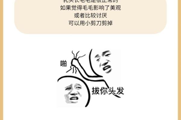 耳朵里长毛的秘密：身体健康的信号还是潜在的隐患？