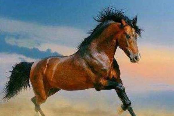 1978年属马:了解这个年份的小马命格与命运 1978年属马:了解这个年份的小马命格与命运