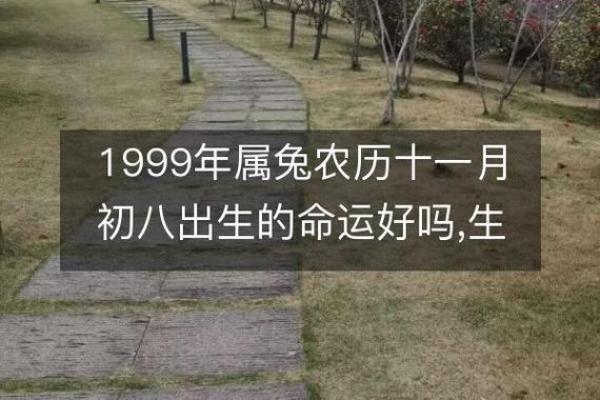 2017年出生的女宝宝命运解析：五行八字与人生幸福的秘密