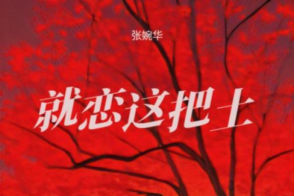 路边的土：风沙中的坚持与生命的启示