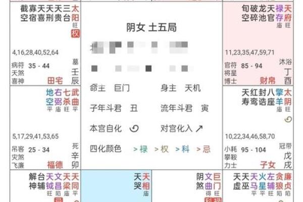 命理中的母亲象征:探讨男性命盘中的母性影响 命理中的母亲象征:探讨男性命盘中的母性影响