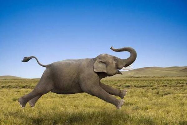 命理中的母亲象征:探讨男性命盘中的母性影响 命理中的母亲象征:探讨男性命盘中的母性影响