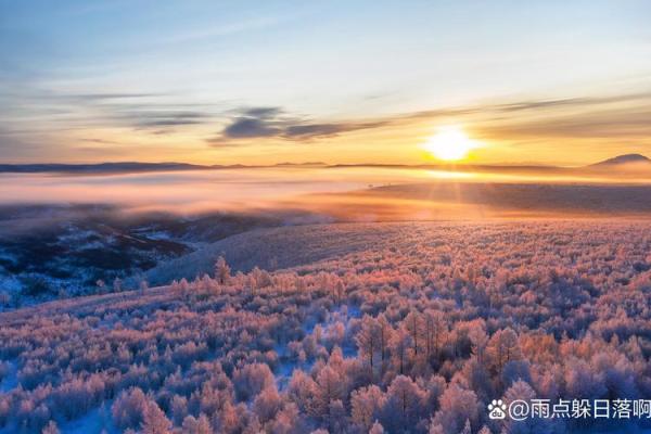 2020年3月的重要命运：如何应对变化与挑战，迎接更美好的未来