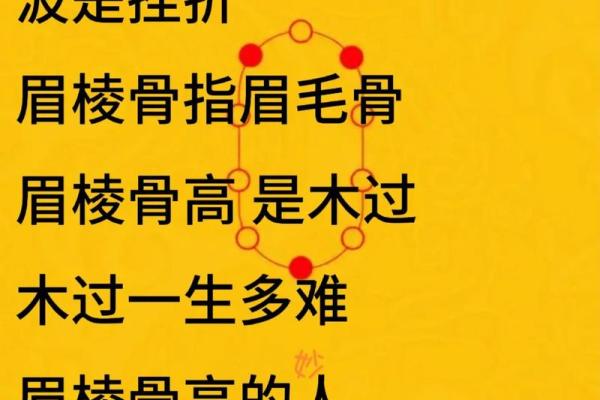 68岁属什么命：探讨八字命理与人生智慧的交汇