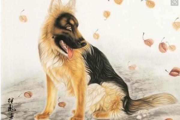 属狗之人：一生的命运与成长之路探秘