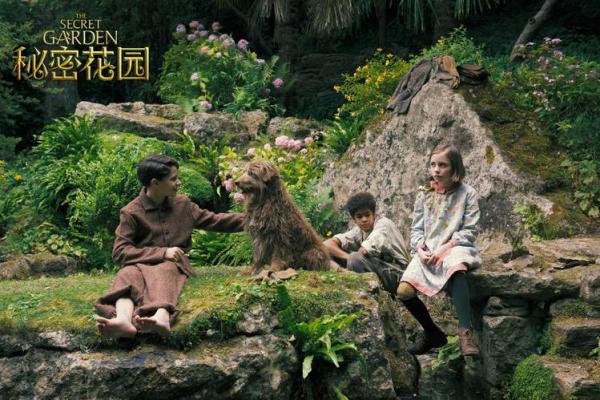 女生龙凤眼的命运解读：美丽背后的秘密与力量