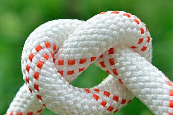 揭开命运的面纱:你生肖的秘密与人生轨迹 揭开命运的面纱:你生肖的秘密与人生轨迹