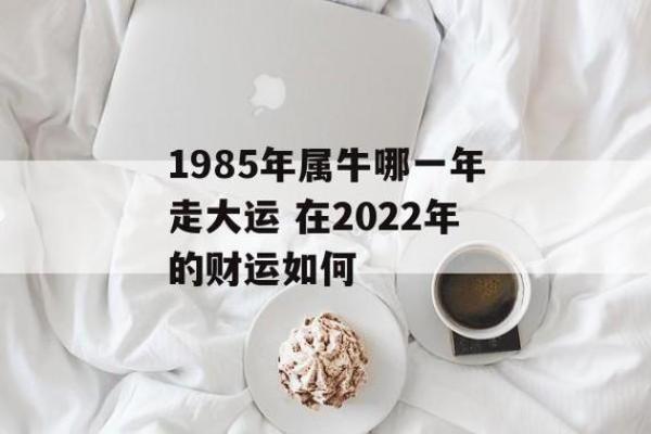 1985年出生的人命运与性格解析:属牛的特质与人生经历 1985年出生的人命运与性格解析:属牛的特质与人生经历
